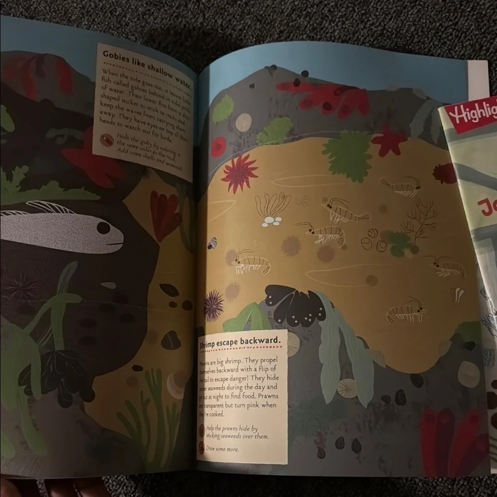 NEW High Five Kids Activity Books - Multicolor Set